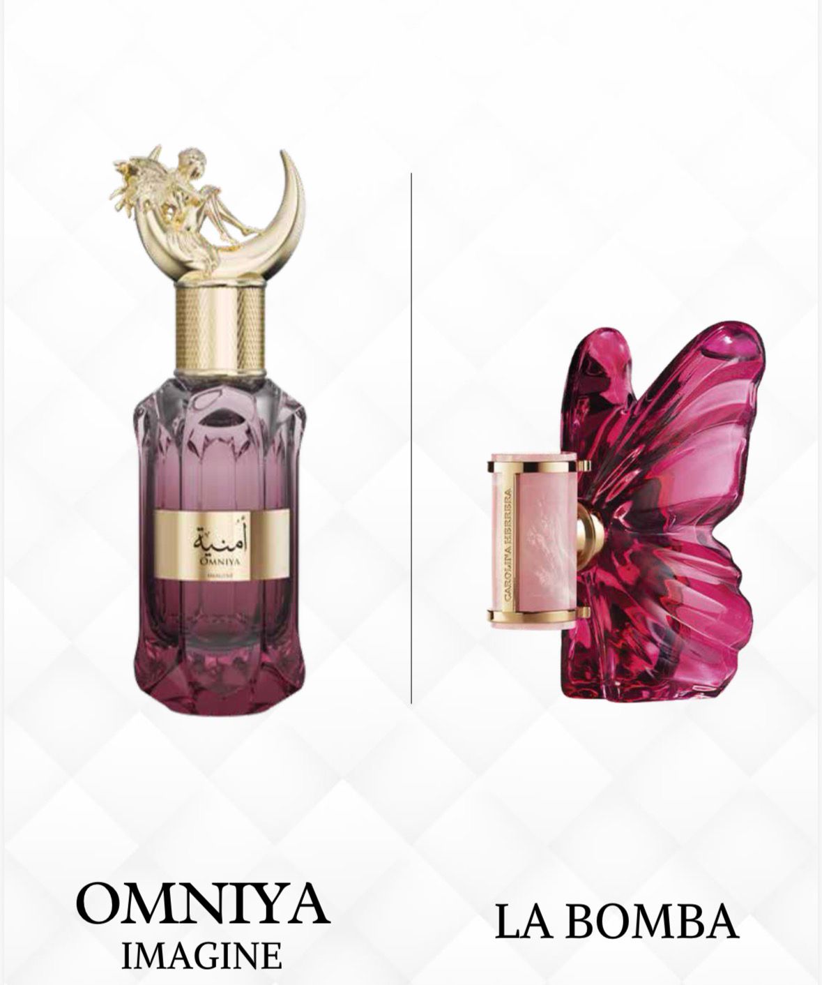 OMNIYA IMAGINE EDP 100ML FOR WOMEN By LE FALCONE
